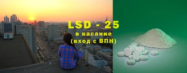 прущий лед Алзамай