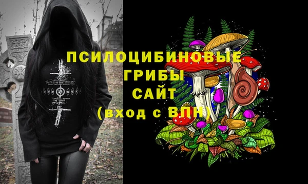 спайс Алексеевка
