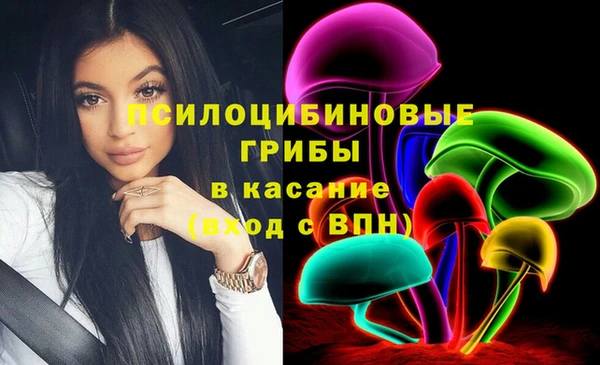 прущий лед Алзамай