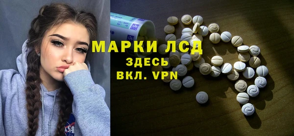 прущий лед Алзамай